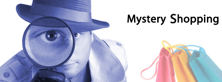 Mystery Shopping Business